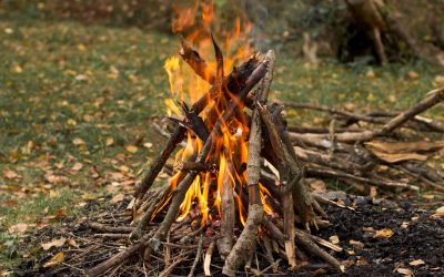 Basic Survival Skills to Practice in Your Backyard