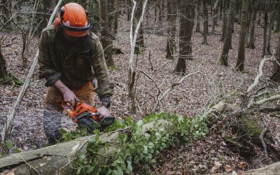 The Importance of Safety Gear at Workplaces